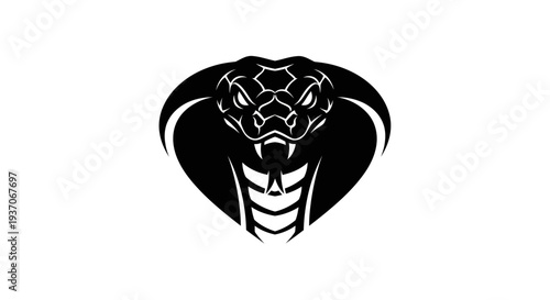 Black cobra head silhouette on white