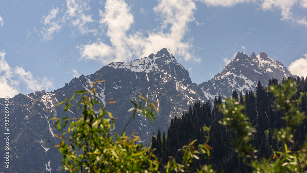 Fototapeta premium alpine meadow in the mountains