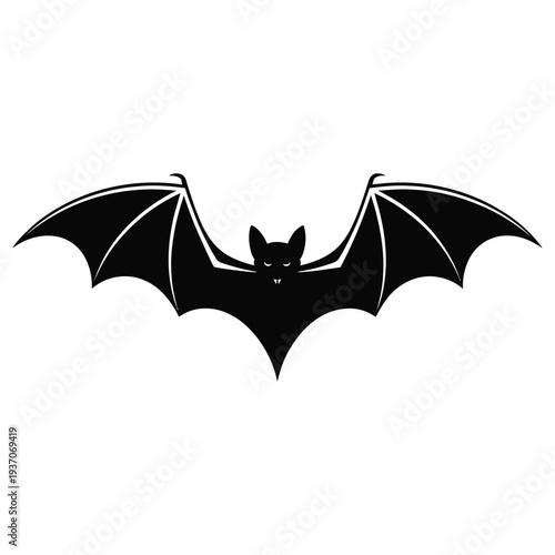 bat and bats
