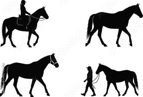 Black silhouette collection of horses in various poses including a rider on horseback and a person leading a walking horse.