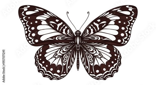 a beautiful butterfly with intricate patterns.