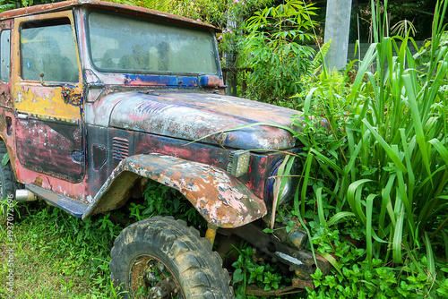 A passenger car is forgotten in the rainforest, rusting and overgrown with climbing bloom plants. Nature takes its toll back