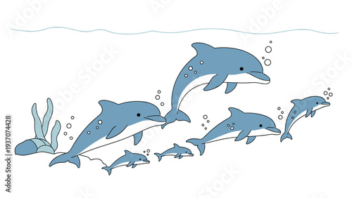 Pod of blue and white dolphins of various sizes swimming gracefully through the clear ocean water with small bubbles and seaweed.