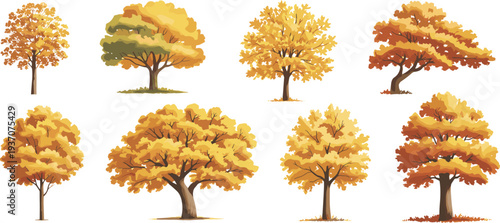 Collection of eight illustrated deciduous trees with autumn foliage, seasonal colors, nature design, environment art, landscape diversity, fall season, botanical