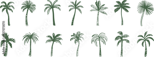 Collection of fourteen stylized palm tree illustrations, tropical vegetation, green fronds, textured trunks, exotic nature art, landscape design, summer forest