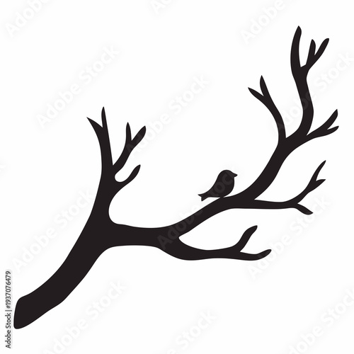 Serene bird perched on bare tree branch in peaceful landscape