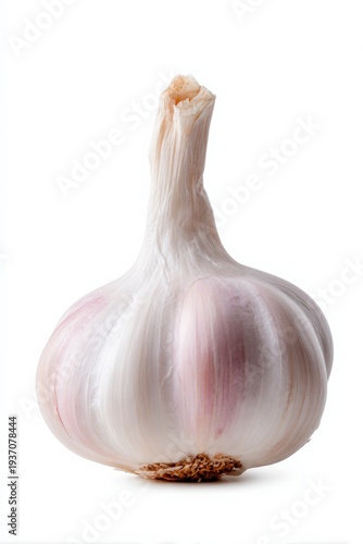 Single garlic bulb standing upright on white studio surface