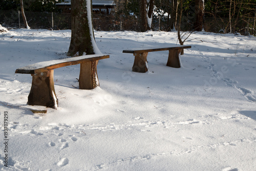 Benches in the Snow