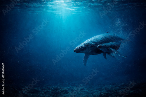 Whales Mother's Day Underwater
