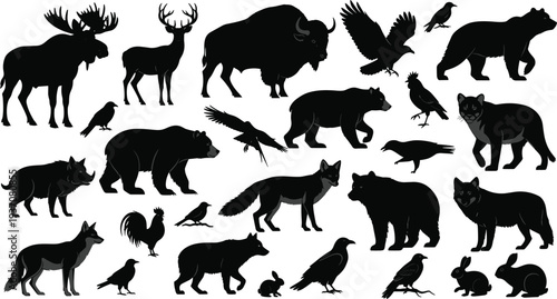 Wild forest animals silhouettes collection including bear deer moose wolf fox bison birds rabbit and other wildlife species vector illustration set