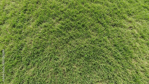 Aerial View of Lush Green Grass Field