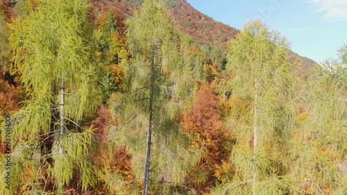 Autumn in Trentino