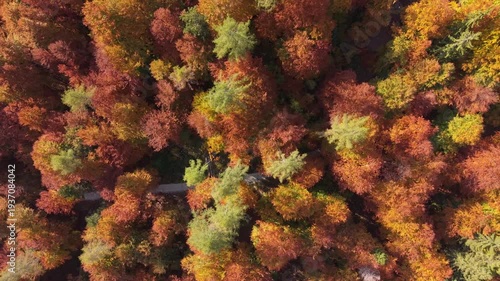 Autumn in Trentino