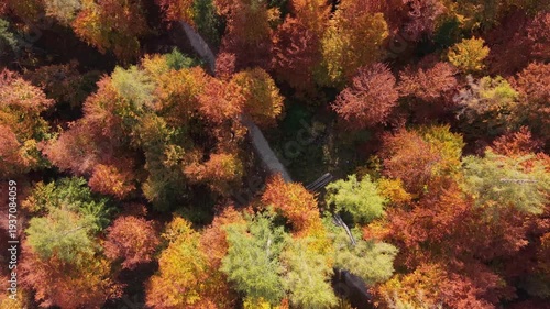 Autumn in Trentino