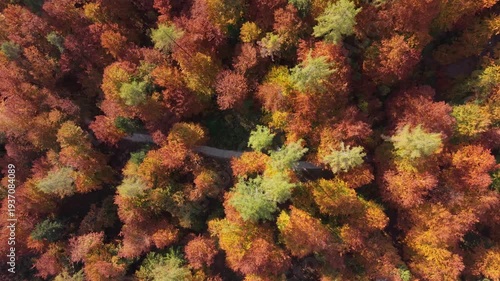 Autumn in Trentino