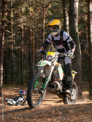 Motocross rider riding dirt bike through pine forest. Extreme sportsperson in protective gear racing off-road motorcycle on sandy track. Adventurous outdoor activity and hobby.