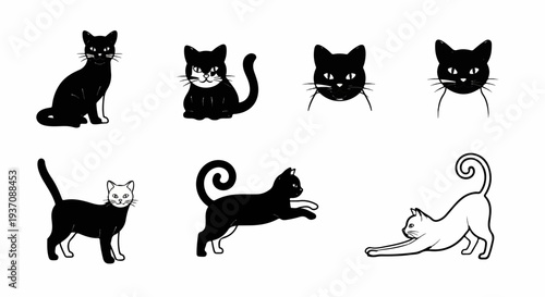 Collection of various cartoon-style black and white cats in different poses