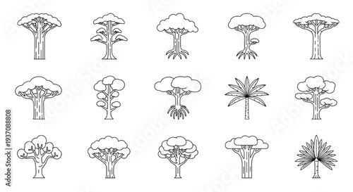 Collection of different stylized trees and plants in a line drawing