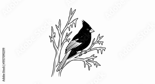 A black bird with a crest perches on a bare, icy tree branch