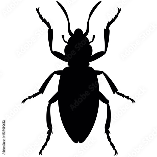 Detailed black silhouette of a beetle with antennae and legs