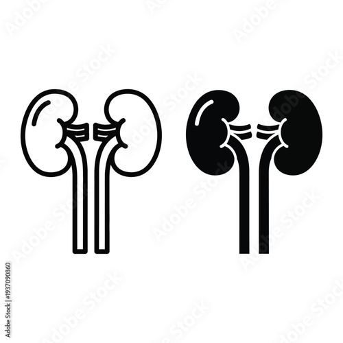 Human kidney anatomy vector illustration, flat design, black and white