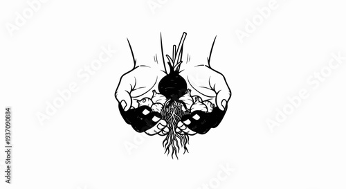 Hands holding freshly harvested root vegetables with visible roots