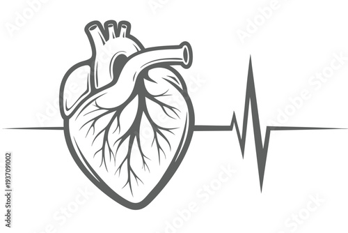 Anatomical heart outline and heartbeat line is presented against the white background in grayscale