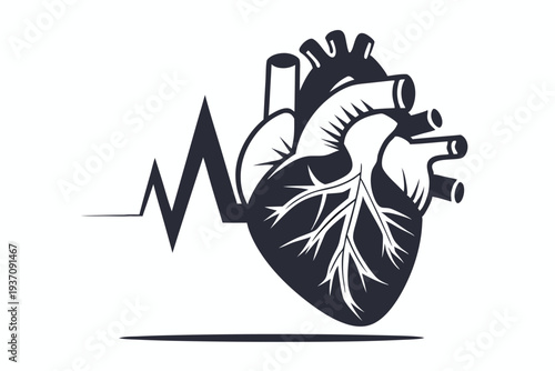 A stylized heart with prominent aorta and distinct heartbeat rhythm shows strong vitality