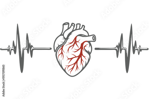 Dark heart with white veins is designed above a pulse trace graphic