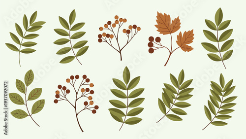 Beautiful collection of autumn foliage and berries is displayed in a flat design style, featuring various leaf shapes in earthy tones.