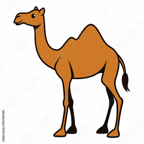 Charming camel stands gracefully showcasing its distinctive humps and features on a clean white background