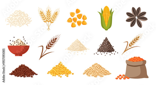 Various grains and seeds isolated on white
