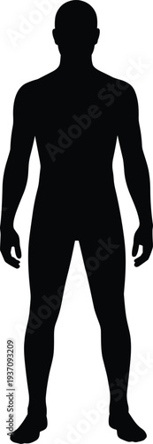 Black vector silhouette of human body standing upright, representing anatomy, posture, medical design, ergonomic study, and educational illustration.