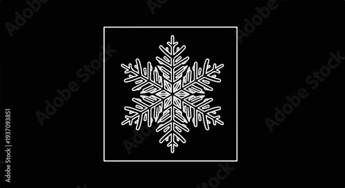 Detailed white snowflake graphic on black background