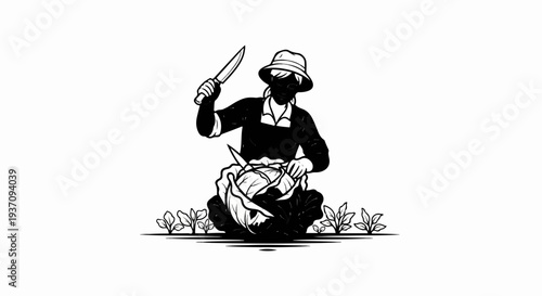 A person with a hat and apron harvests a large cabbage with two knives in a garden