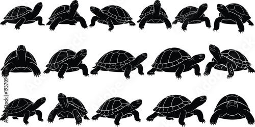 Detailed black silhouette collection of turtles in various crawling and standing poses isolated on a white background for nature design.