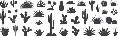 Desert cactus and succulent silhouette collection with agave yucca prickly pear plants botanical vector set for nature design