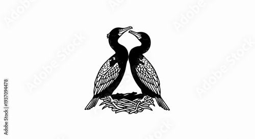 Two cormorants in a nest, heads touching in silhouette
