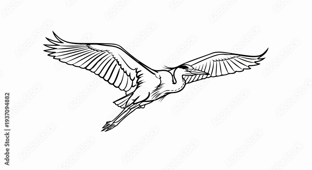 Obraz premium Line art illustration of a heron bird in flight