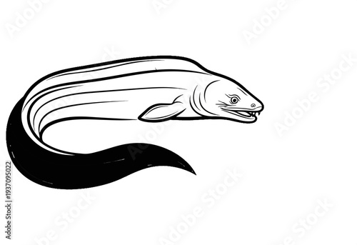 Stylized black and white drawing of an eel with sharp teeth and flowing body
