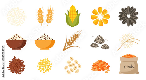 Variety of grains and seeds illustration