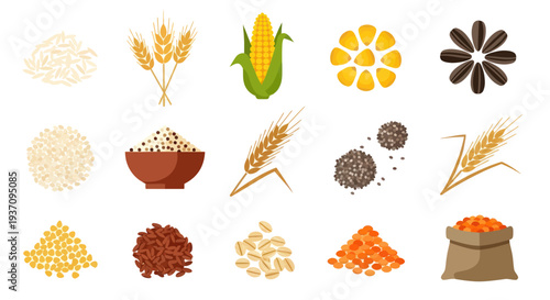 Various cereal grains and seeds illustration