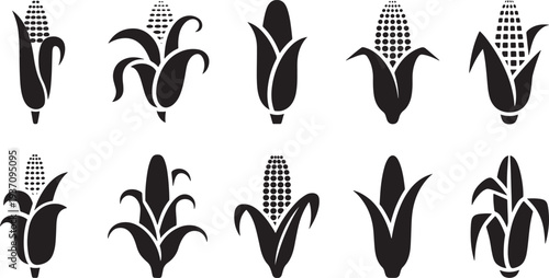 Ten Black and White Corn Cob with Different Patterns and Styles