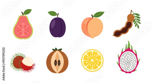 Various colorful fruit illustrations on white