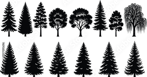 Collection of twelve black silhouette trees including pine, deciduous, and weeping willow pine tree fir tree