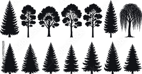 Collection of twelve black silhouette trees including pine, deciduous, and weeping willow pine tree fir tree