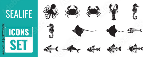 Sealife icons set with ocean creatures and fish silhouettes for design