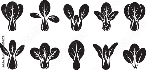 Ten black and white leafy vegetable on white background leafy greens outline