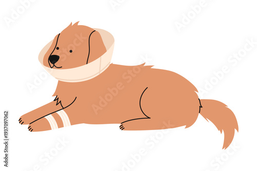 Dog wearing protective collar after veterinary treatment. Pet recovery and animal hospital healthcare concept for clinic advertising and medical branding materials. Flat vector illustration.