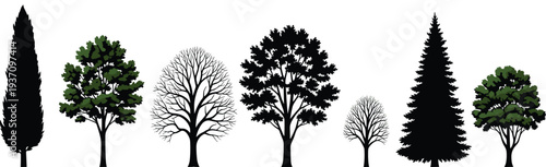 Collection of different tree silhouettes including deciduous and evergreen species isolated on light background nature landscape design elements for environment, park and garden illustration